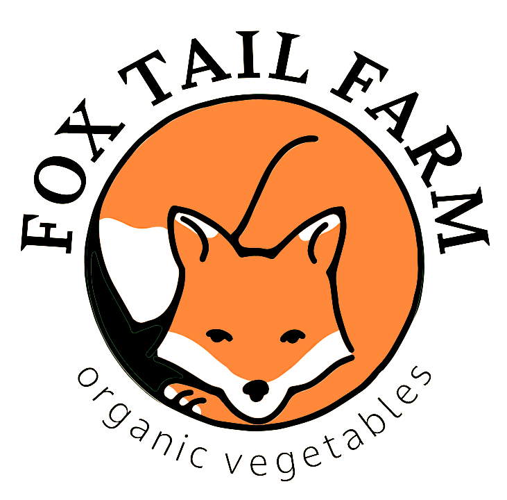 Organic Vegetables from Fox Tail Farm